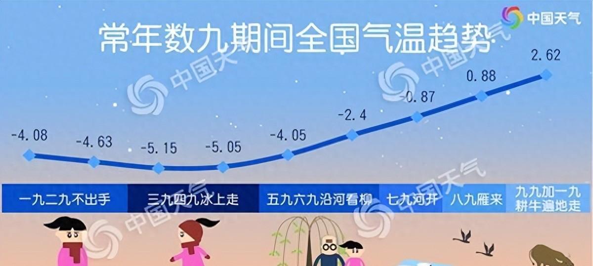 三九天，养根是头等大事，把这几个关键细节做好了，开春苗子才壮