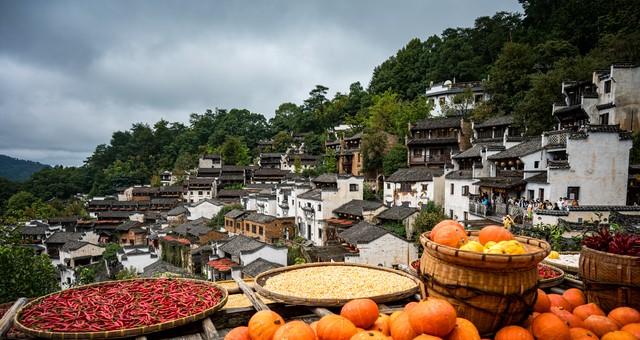 “冬月三一阴，谷米贵如金”啥讲究？今年粮食能丰收吗？冷暖如何