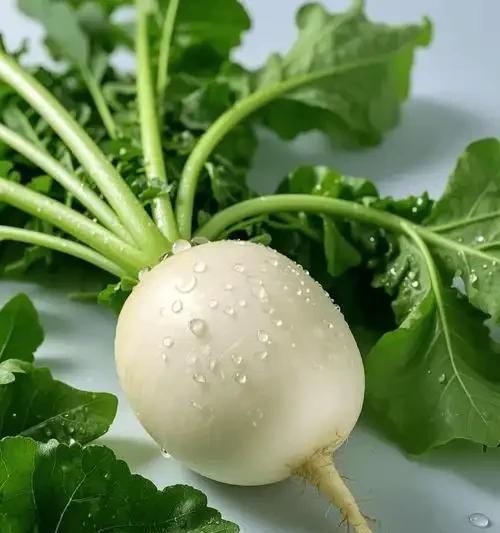 三九寒天冻掉牙？这5样“暖身宝”家家都有！