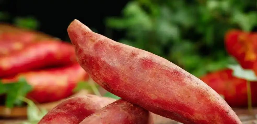 三九寒天冻掉牙？这5样“暖身宝”家家都有！