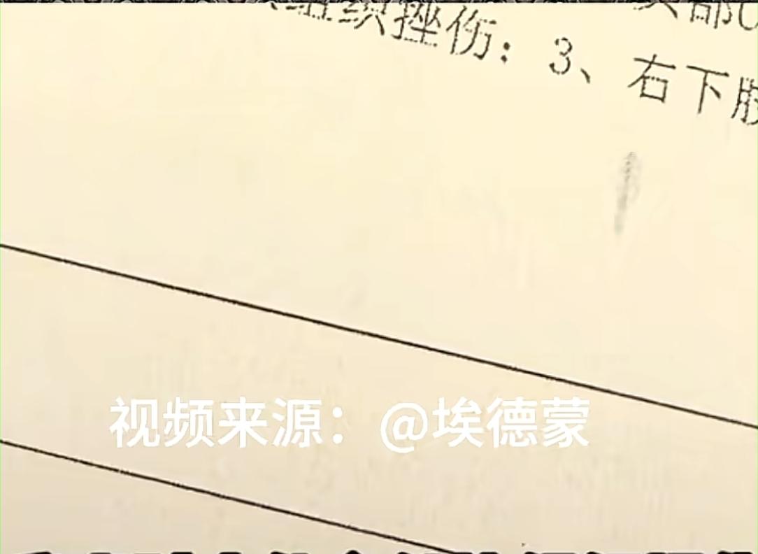 两人未经允许进私家院子，业主拍摄反被殴打！对方自称是律师不怕