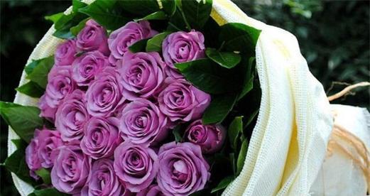 18朵玫瑰的象征意义（探寻18朵玫瑰所代表的浪漫与美好）