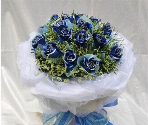 11朵蓝色妖姬的象征意义（探寻蓝色妖姬隐藏的秘密）