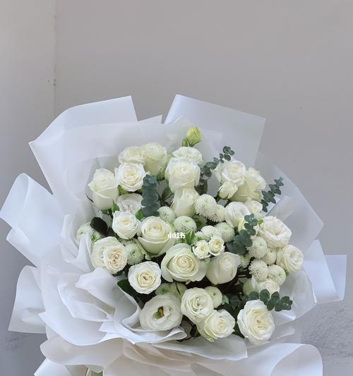 白玫瑰花的寓意与意义（探索白玫瑰花的纯洁）