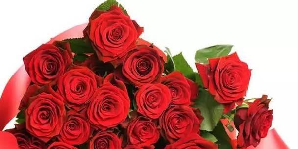 20朵红玫瑰的花语传达的含义（红玫瑰代表爱情的深情告白）
