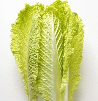 生吃白菜有什么好处？是否真的有益健康？