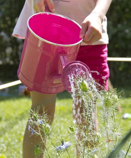淘米水浇黑法师的正确方法和注意事项？