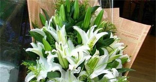 水仙百合花语（探寻水仙百合花所传达的深刻寓意）