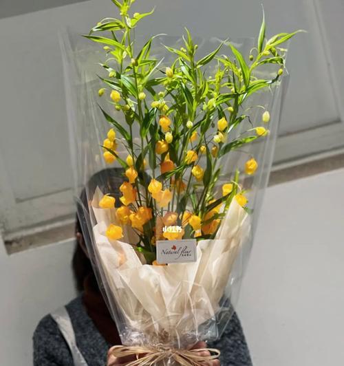 宫灯百合花语——爱的芬芳（传递美好祝福的花朵）