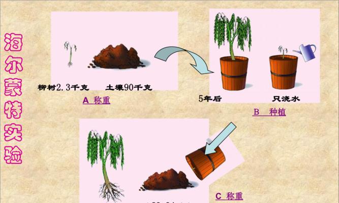 柠檬种植条件是什么?种植区域和温度要求有哪些?