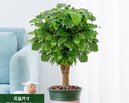 以百合花代表平安（和平与祝福绽放的花朵）