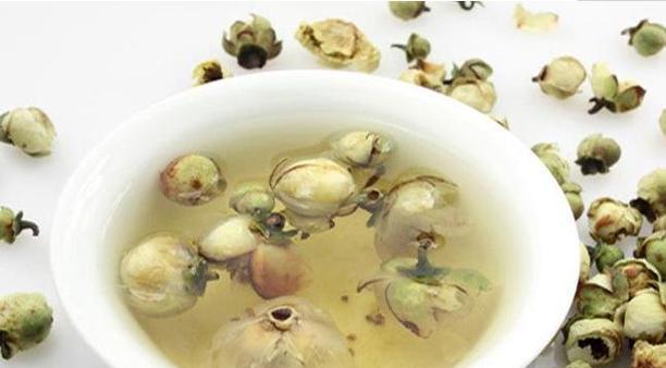 雪莲花的美丽与坚强（追寻自我）