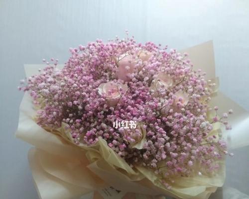 粉满天星和蓝满天星之美——花语与意义（向天空绽放的花海——粉满天星与蓝满天星的独特魅力）