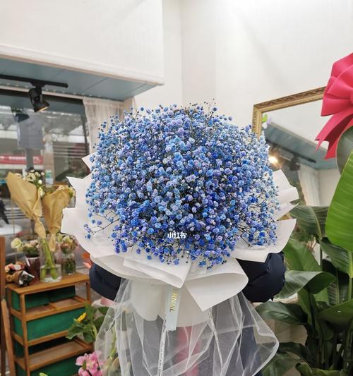 粉满天星和蓝满天星之美——花语与意义（向天空绽放的花海——粉满天星与蓝满天星的独特魅力）