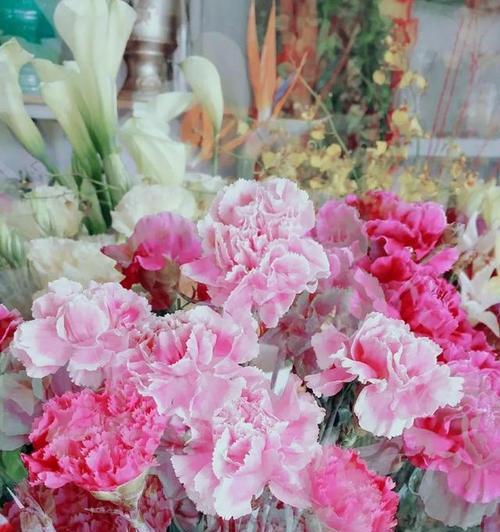 粉色康乃馨花语的深意（探寻康乃馨花语的浪漫情感）