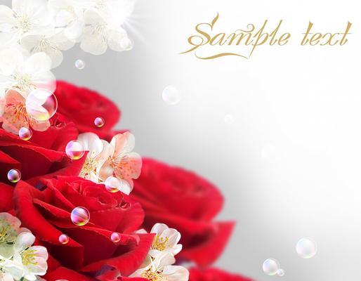 深入解读各种玫瑰花的代表意义（玫瑰花的情感象征与文化涵义）