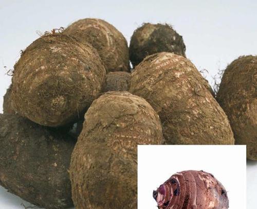 毛芋发芽了还能吃吗？发芽毛芋的食用安全性解析