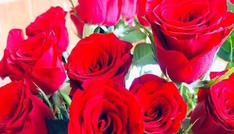 34朵玫瑰代表什么花语（寓意深远的花束）