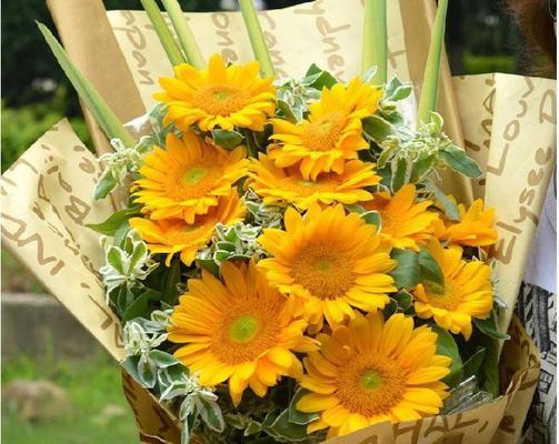 父亲生日送什么花最合适？不同类型的花语有何含义？