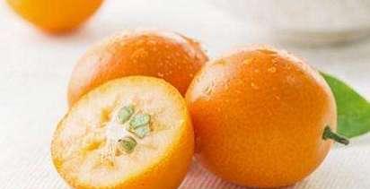 金桔是凉性还是热性食物?了解金桔的属性及其健康益处 金桔是凉性还是热性食物?了解金桔的属性及其健康益处