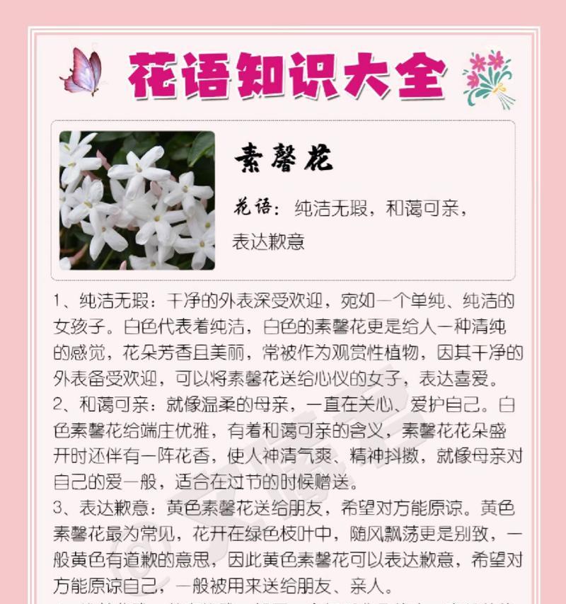 洋甘菊的花语和寓意（洋甘菊的五种象征意义及其鲜花语）