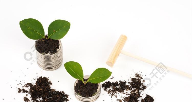 绿色环保的植物世界（探索大自然中的生命奇迹）