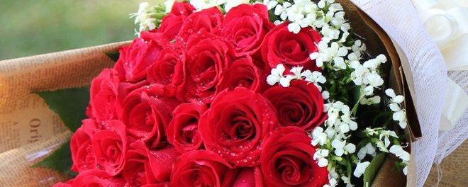 玫瑰花语与寓意（玫瑰花的寓意深远）