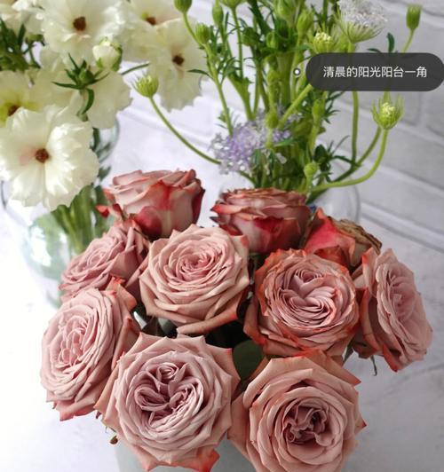 卡布奇诺玫瑰花语（一杯咖啡中的花朵）