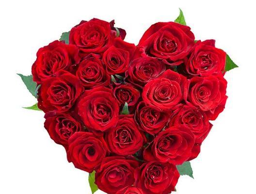 玫瑰花的意义和象征（玫瑰花传递的爱与情感）