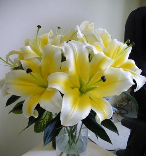 百合花的象征意义与传承（探索百合花的美丽与深意）