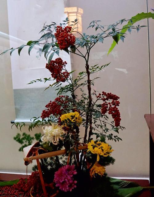 菊花插枝的成功率高吗？如何正确进行插枝操作？