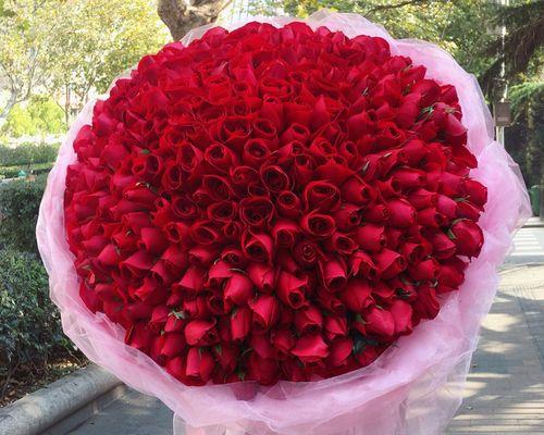 十一支玫瑰的象征意义（探究十一支玫瑰所代表的深刻寓意）