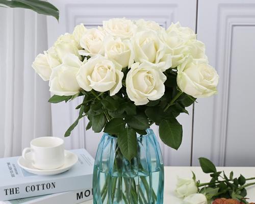 白色玫瑰花的寓意与象征——纯洁、无暇与纯真（揭秘白色玫瑰花所代表的丰富含义）