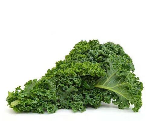 羽衣甘蓝别称有哪些？购买时如何挑选新鲜的羽衣甘蓝？