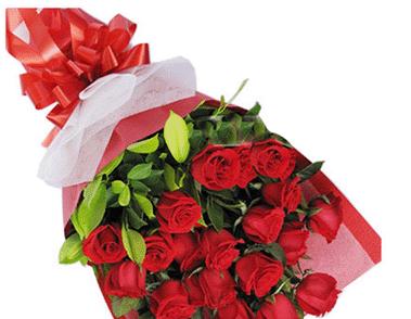 玫瑰花的赠送意义（探寻玫瑰花背后的情感与象征）