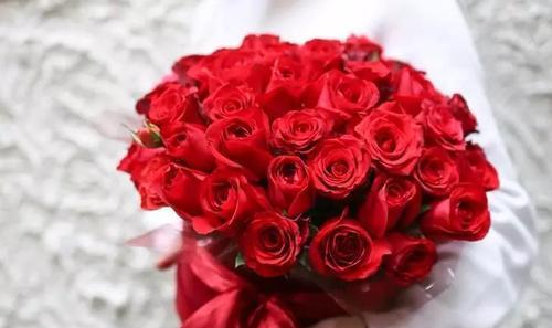 玫瑰花的赠送意义（探寻玫瑰花背后的情感与象征）