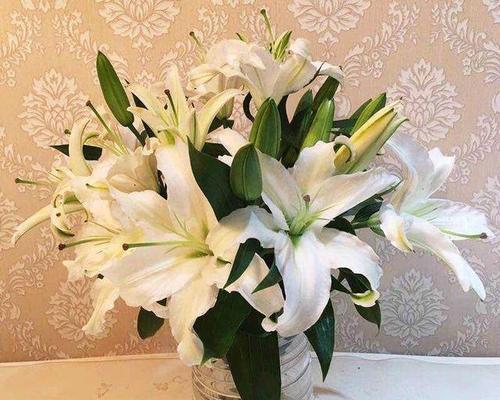 梯伯百合花语（探秘梯伯百合花语的深层意义与传达方式）