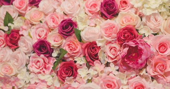 玫瑰花的数量（花束传递的情感和意义）