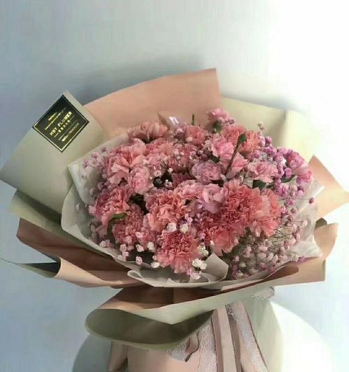 康乃馨花的含义及文化象征(了解康乃馨的花语与传统) 康乃馨花的含义及文化象征(了解康乃馨的花语与传统)