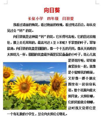 郁金香的生长习性是什么？如何正确理解其生长过程和特性？