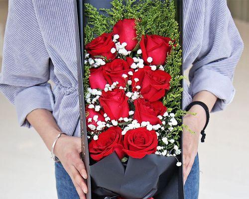 11朵玫瑰花的意义与象征（探索玫瑰花的深刻寓意与神秘象征）