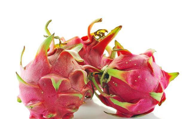 火龙果是凉性还是热性食物？了解其属性对健康的影响？