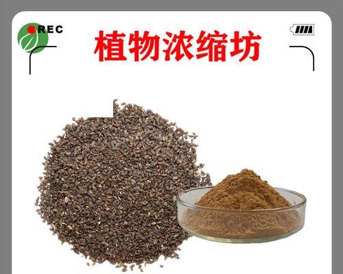 车前子和车前草有什么区别？各自的功效和用途是什么？