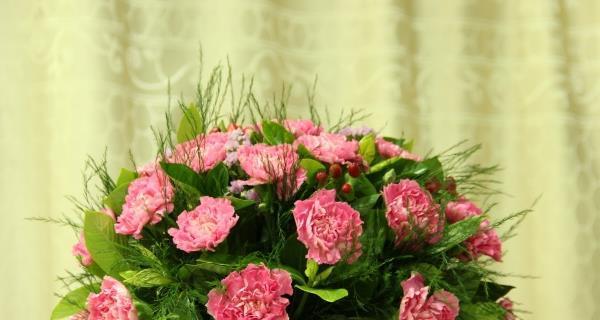 康乃馨的象征意义和精神（探寻康乃馨的美丽与坚强）