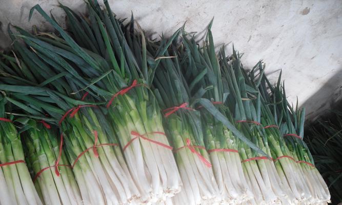 大葱可以生吃吗？生吃大葱的健康益处和风险是什么？