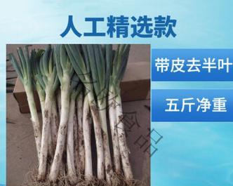 大葱可以生吃吗？生吃大葱的健康益处和风险是什么？