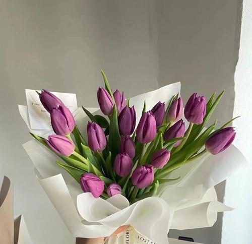 郁金香25朵花语的深意（25种花语揭示内心情感）