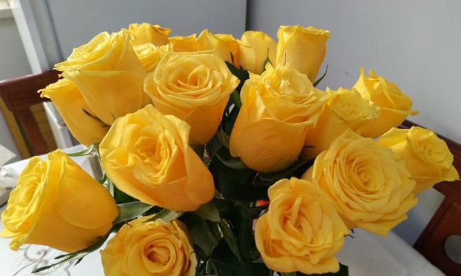 黄玫瑰的含义和象征（情侣之间赠送黄玫瑰的深意）