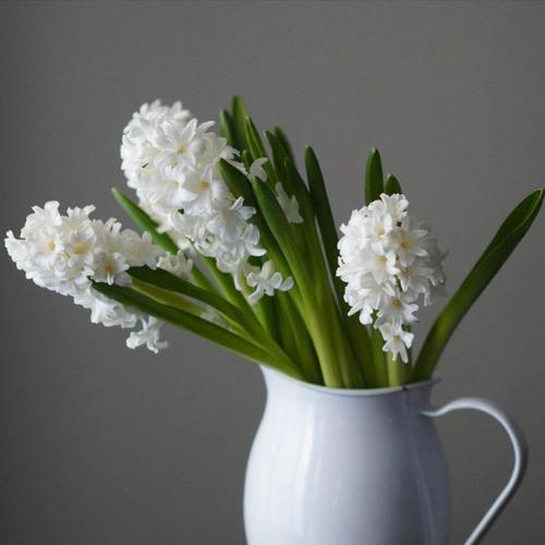 粉红风信子花语（粉色花海中的美丽祝福）