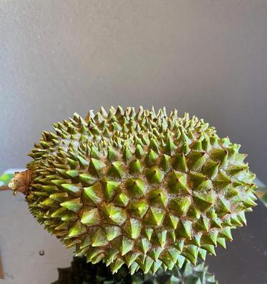 榴莲（探索榴莲背后的象征之美）